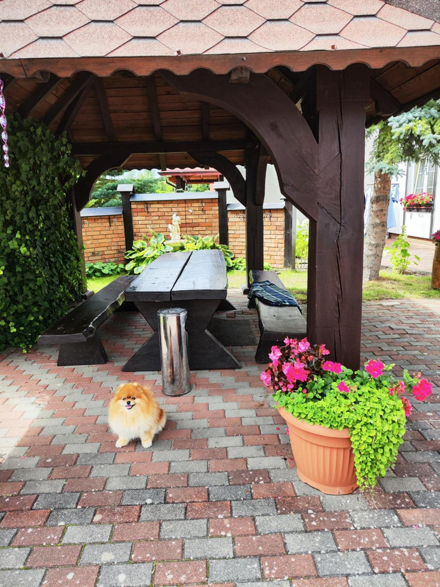 Michalek W Rowach Bed & Breakfast Rowy  Exterior photo